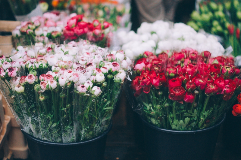 fleuriste-MAZAUGUES-min_farmers-market-1209712